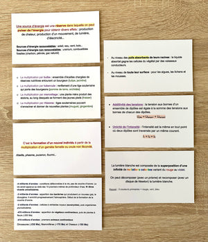 FLASHCARDS SCIENCES ET TECHNOLOGIE - Mes fiches CRPE